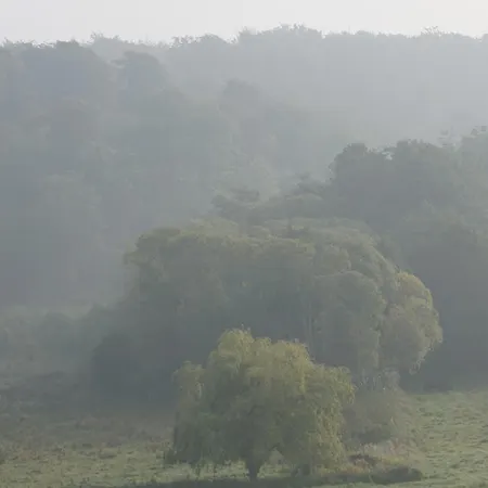 Bed & Breakfast Mollehusets 3*