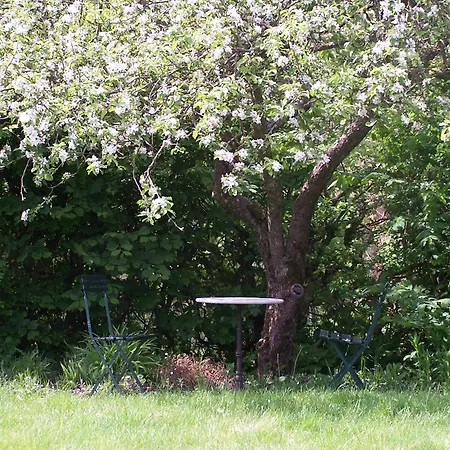 فندق مبيت وإفطار Mollehusets