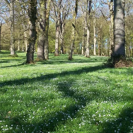 Mollehusets فندق مبيت وإفطار نُوابورغ