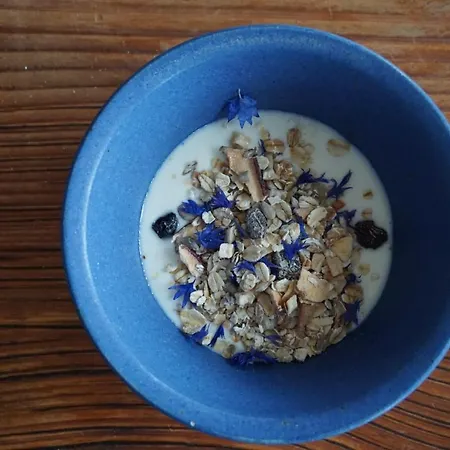 Mollehusets Bed & Breakfast Nordborg