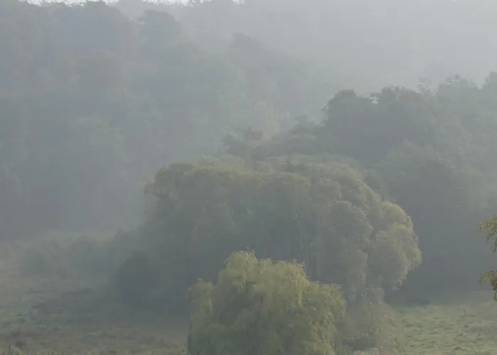 Bed & Breakfast Mollehusets 3*