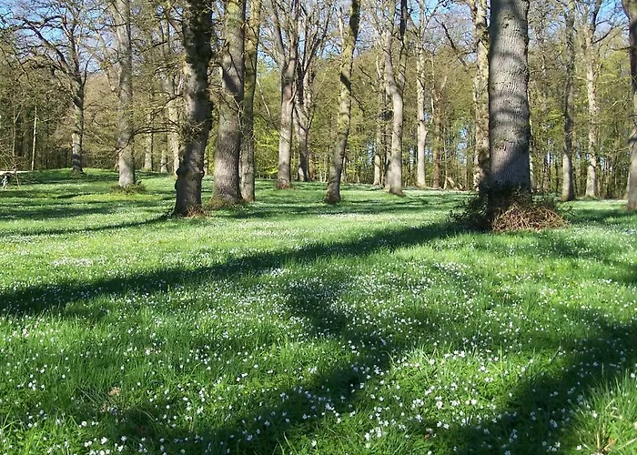 Mollehusets Bed & Breakfast Nordborg